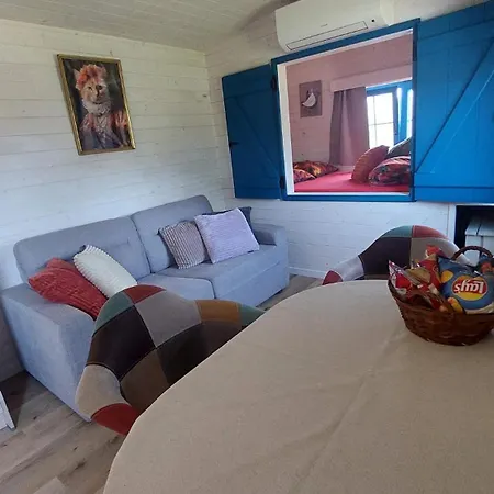 Puck Babbita B&B 하셀트